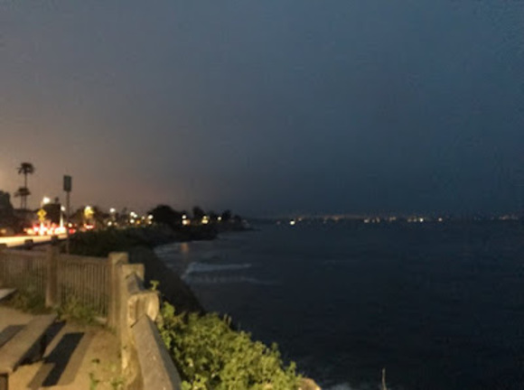 Meet your Posher, Turtleduck - Picture 1 of 1